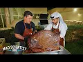 Lagu Can You BBQ a Camel? Watch What Happens!