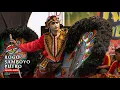Download Lagu SHAFIRA Audio || Jaranan ROGO SAMBOYO PUTRO Live Sarirejo