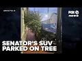 Maryland senator s SUV parked on tree raises accountability questions in Annapolis