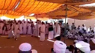الفنان ود العقيد دندنها