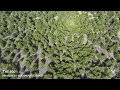 THE 900 NW Oklahoma Hunting Lease
