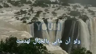 سأصبر حتى يعجز الصبر عن صبري   أعظم قصيدة للإمام علي بن أبي طالب دندنها
