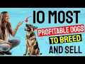 10 Most Profitable Dogs to Breed and Sell