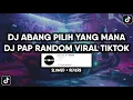 Download Lagu DJ PAP RANDOM ABANG PILIH YANG MANA BY DJ TEBANG VIRAL TIKTOK YANG KALIAN CARI (SLOWED+REVERB)