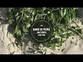 Maz, Luedji Luna - Banho de Folhas (Maz Remix)