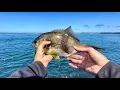 Fishing at Coos Bay South Jetty Oregon
