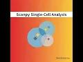 Scanpy Single-Cell Analysis The Scanpy Identity and AnnData