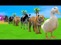 Lagu Long Slide Game with Cow Elephant Gorilla Hippopotamus Tiger 3d Animal Game Funny 3d Animals