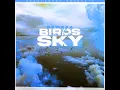Birds In The Sky (Mazza_l20 Remix)
