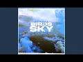 Download Lagu Birds In The Sky (Mazza_l20 Remix)