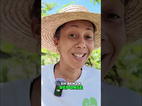 Perte de Graisse Ventre: La Vérité sur les Plantes Miracles! #shorts