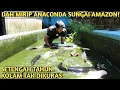 Download Lagu KOLAM LAMA TAK DIKURAS! MONSTER PENGHUNI KOLAM MAKIN BESAR \u0026 BANYAK