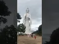 Download Lagu Guanyin Boddhisattva-Goddess | An undisciplined mind does greater harm. #buddha #shorts #guanyin