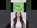 Download Lagu KUTUKAN SIPUT | Klara Tania #shorts