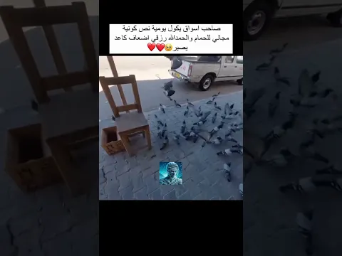 شكد حلوه هاي الانسأنية 😳🥲💔✨كرومة عراقية تصميم تحشيش عراقي  #اكسبلور_explore #funnyvideo #العراق