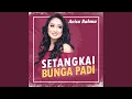 Download Lagu Setangakai Bunga Padi