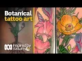 Plant tattoos by botanical artist Inspired by nature ABC Australia