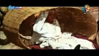 خطرت حمامة فى بيت زكريا ترانيم صوم الميلاد اعمل اشتراك للقناة وفعل زر الجرس ليصلك كل جديد 