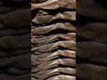 Download Lagu 🌊 How Did TRILOBITES DOMINATE Earth for 270 MILLION Years? 🧐