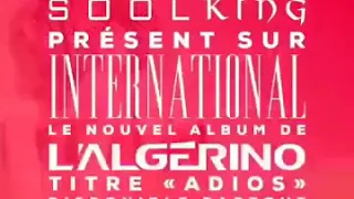 SOOLKING X L Algerino ADIOS 