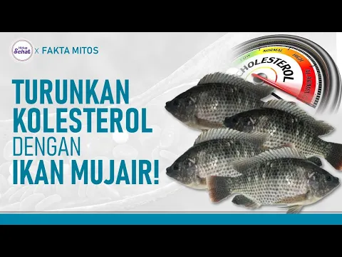 Jangan Lewatkan Manfaat Ikan Mujair, Termasuk Turunkan Kolesterol!