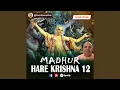 Madhur Hare Krishna 12