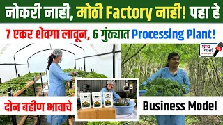 दुष्काळात सुद्धा 7 एकर शेवगा लागवड! | Moringa Powder चा Online Business | शोध वार्ता | Shodh Varta |