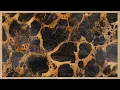 2 Hours Luxury Leopard Print Vintage Animal Skin Texture Frame TV Art 4K U Relaxing Screensaver