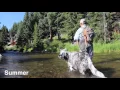 4 Seasons of Fly Fishing in Breckenridge
