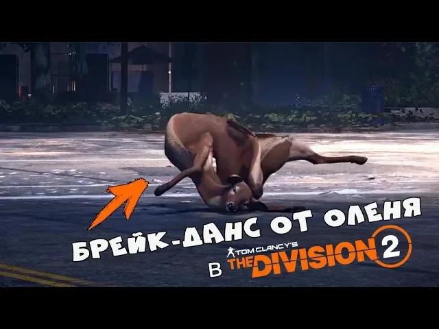 БРЕЙК-ДАНС от оленя в Division 2, ленивая лошадь в RDR2 и другие баги и приколы из игр недели - #49