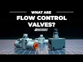 What are Flow Control Valves