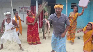 ढोरबा घर में माछ चोरी  #dhorba_mangla_maithili_comedy