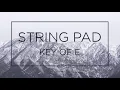 STRING PAD KEY OF E C for Backing Track