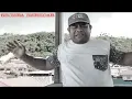 Download Lagu MAMA || Anoe Drakel || Cipt.Anoe Drakel