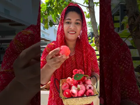 മുറ്റത്തെ ചാമ്പക്ക  പറിച്ച്  കൊണ്ട് അടിപൊളി ഐറ്റം ഉണ്ടാക്കിയപ്പോൾ.!#food#recipe #cooking #pickle