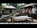 Lagu JATIM MERINDING!! Jenazah Nenek Tua Ini Didatangi Buaya Besar Saat Pemakaman! Lihat Keajaibannya!