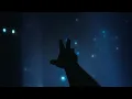 everyone is asleep, except you (playlist)
