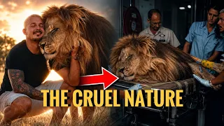 Full Statement on Dexter the Lion - Dean Schneider