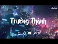 Lagu Nhạc Chill 2024  - Trưởng Thành Lofi  - Chữ tình không vẹn câu chữ tiền không đến đâu Lofi