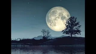 اغنية وش السعد بدون موسيقي   ظلموكي لما قالوا إن أنتي للقمر شبيه  ليل المحمدي  بدون موسيقى دندنها