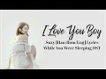 Download Lagu 수지 Suzy– I Love You Boy [Han|Rom|Eng]  Lyrics While You Were Sleeping OST Part 4