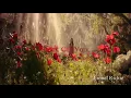 Download Lagu Stuck on You - Lionel Richie (The Best Of Me) ( 480 X 854 )