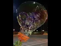 Dino Bubble Maker Big Bubbles with Tiny Bubbles Inside