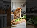 Download Lagu A fat orange cat cooks dimsum #funny #cat #cooking #ai #aiart