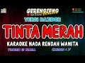 Download Lagu TINTA MERAH KARAOKE!! Ade Astrid | BAJIDOR