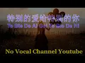 Download Lagu Te Bie De Ai Gei Te Bie De Ni ( 特别的爱给特别的你 ) Male Karaoke Mandarin - No Vocal