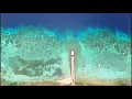 Pulau Ai, Banda island's, Moluku, Indonesia