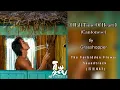 Download Lagu Grasshopper (草蜢 ) - 半點心 Half Time of Heart (Cantonese) |The Forbidden Flower Soundtrack (夏花OST)