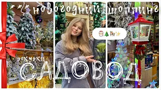 САДОВОД. НОВОГОДНИЙ ШОППИНГ 🛍️🎄✨