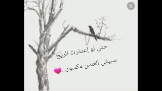  حالات واتساب عن  كسر الخواطر دندنها